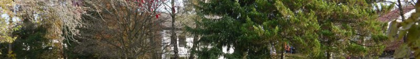 Kindergarten mit riesigem Garten